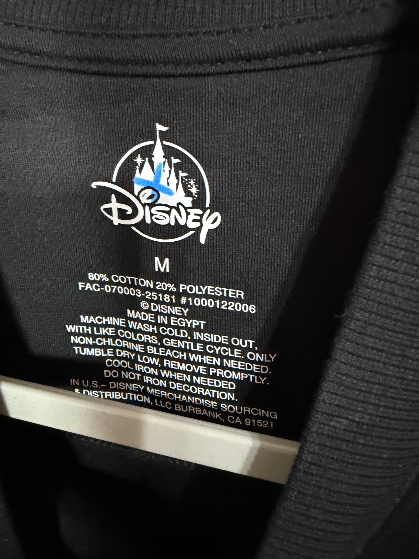 Medium NWOT Disneyland Sweater