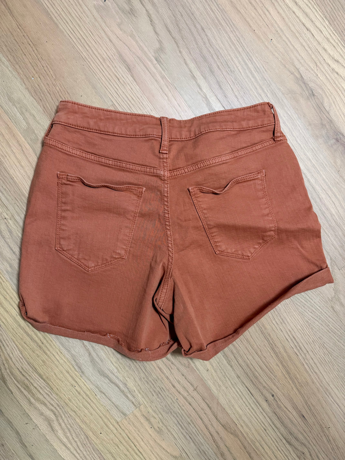 10/30 Burnt Orange High Rise Midi Shorts