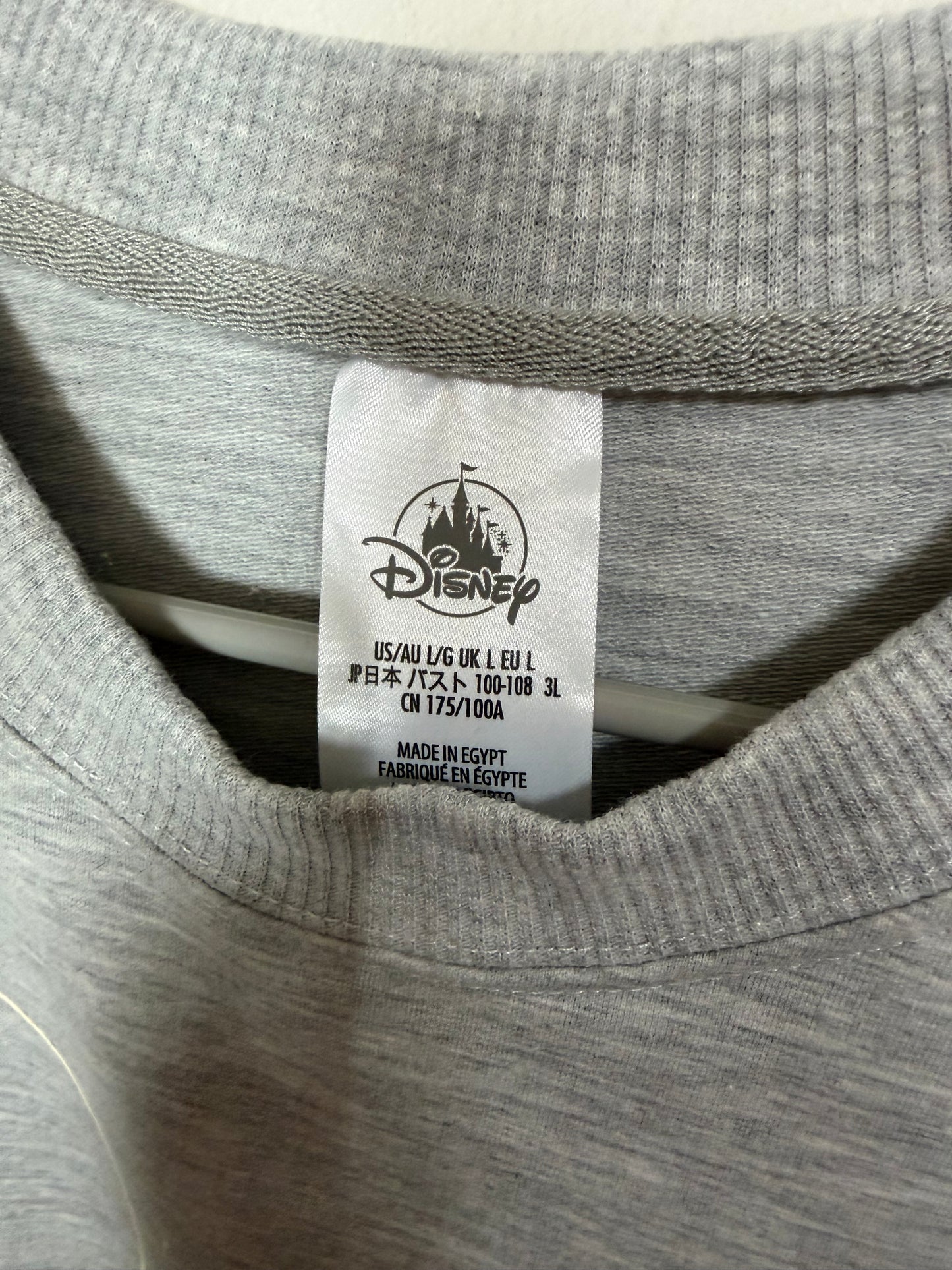 Large NWOT Disneyland Grey Sweater