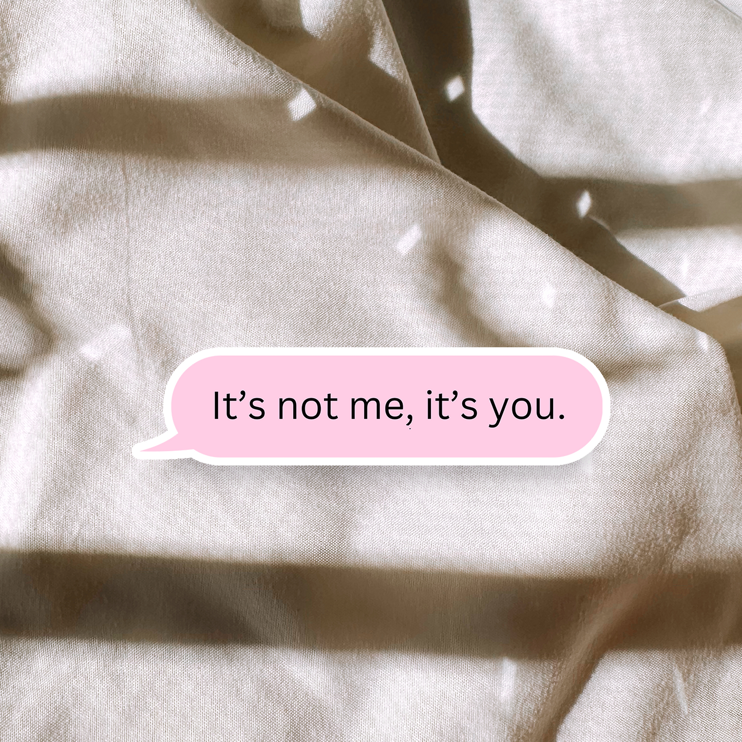 Its Not Me, Its You Sticker