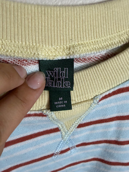 Medium Striped Crop Top Tee