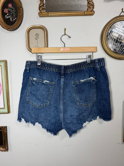 XL Denim Shorts