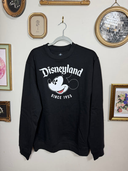 Medium NWOT Disneyland Sweater