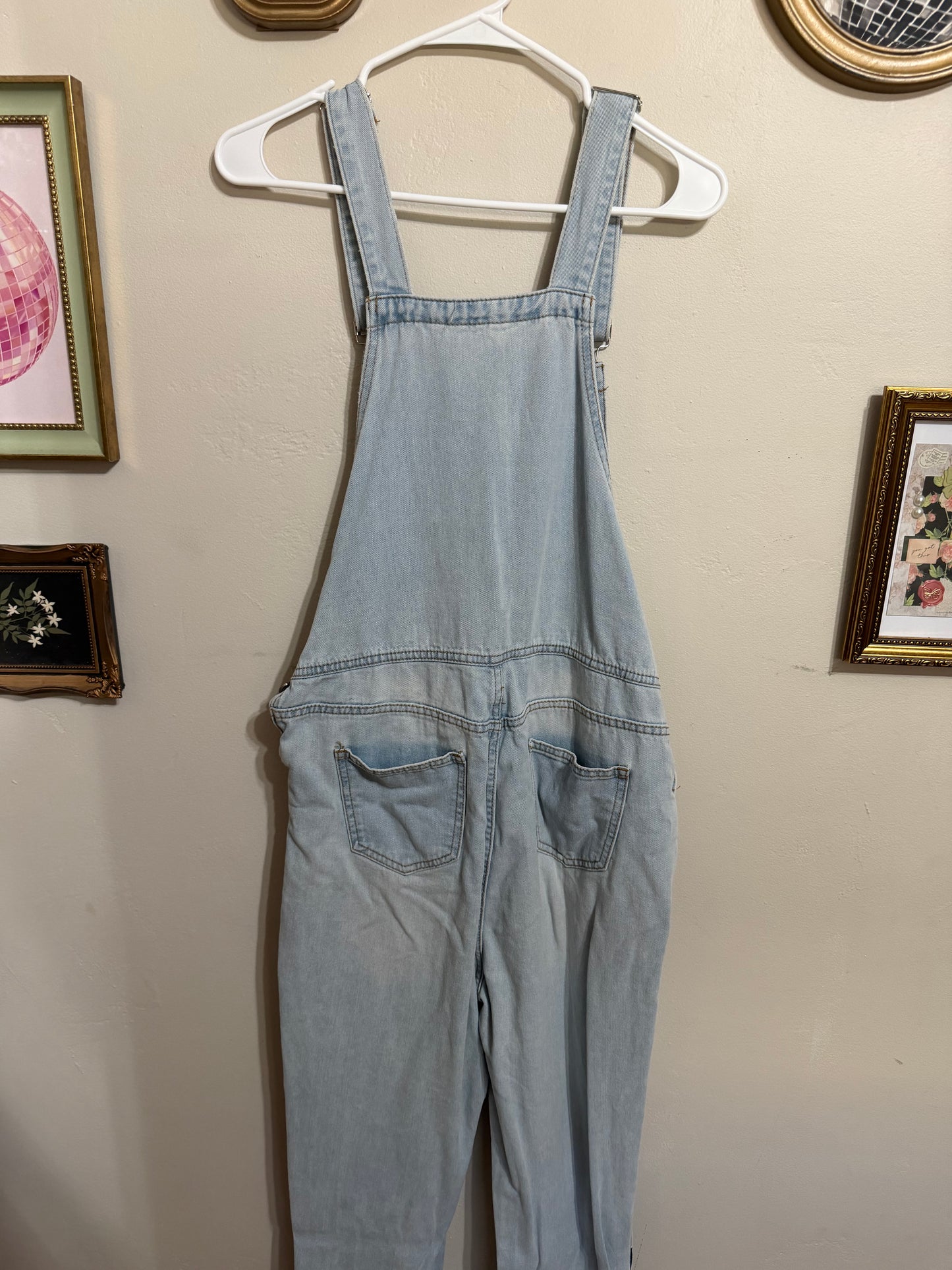 Medium Floral Painted Denim Overalls