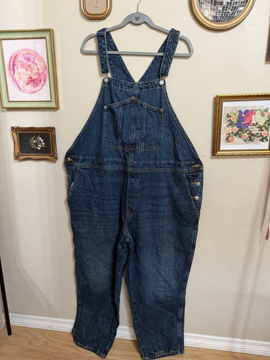 Size 24 Denim Overalls