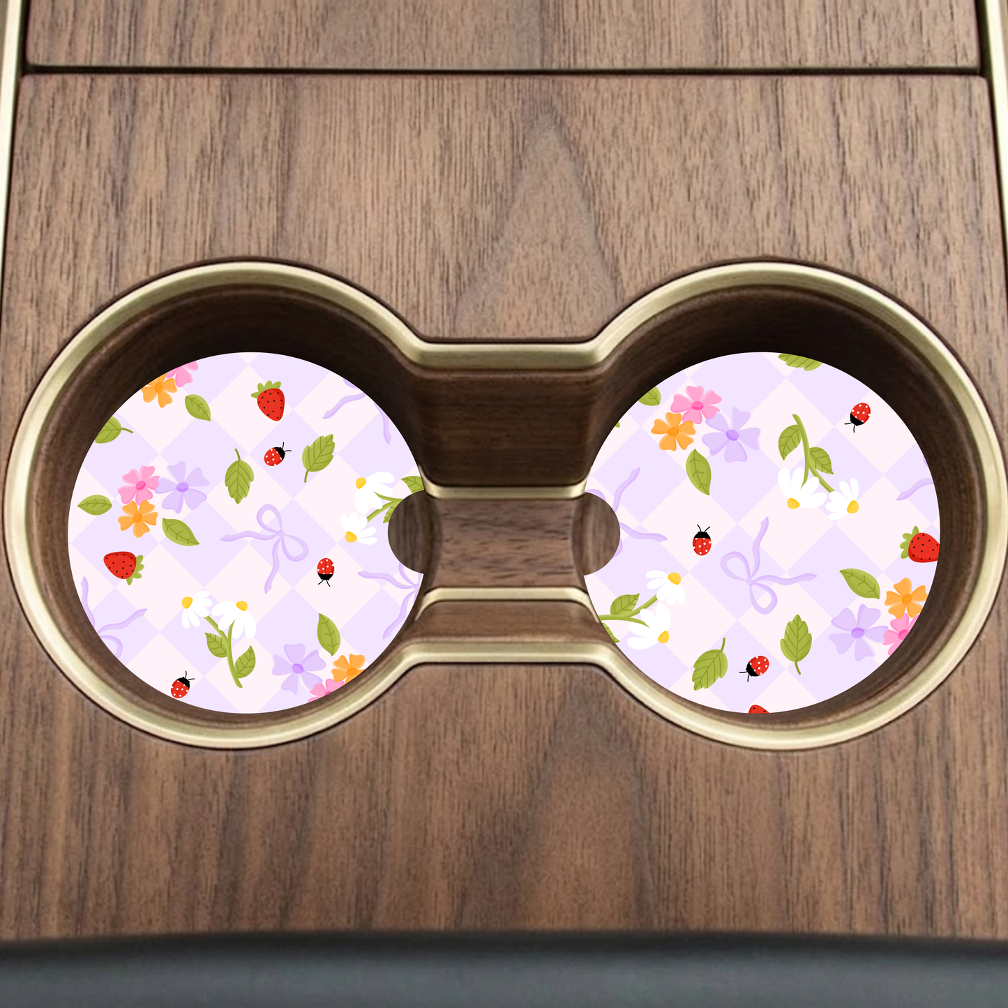 Lady Bug Car Coaster