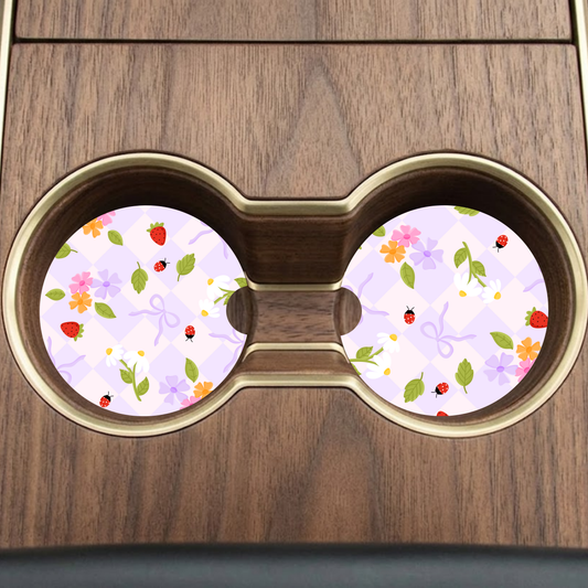 Lady Bug Car Coaster