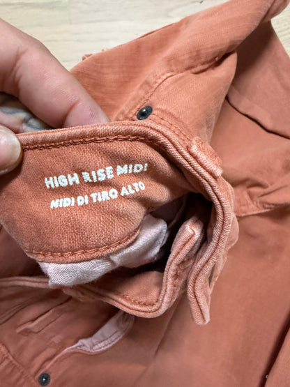 10/30 Burnt Orange High Rise Midi Shorts