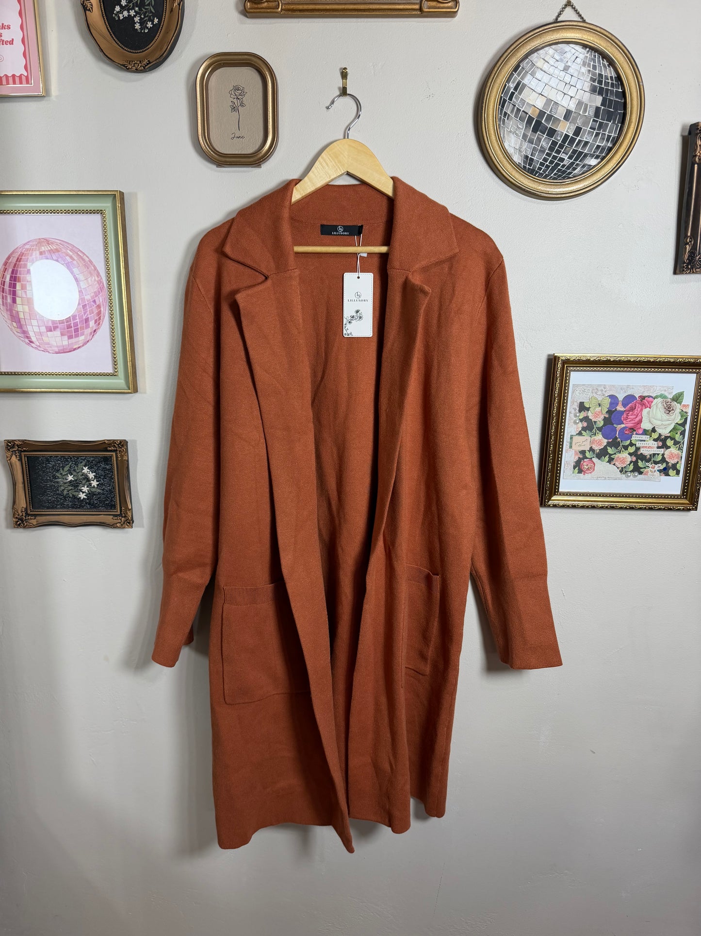 XL NWT Burnt Orange Cardigan