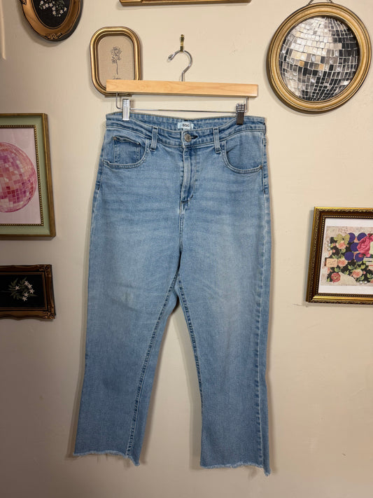 Size 31 Straight Leg Jeans w/ Raw Ankle