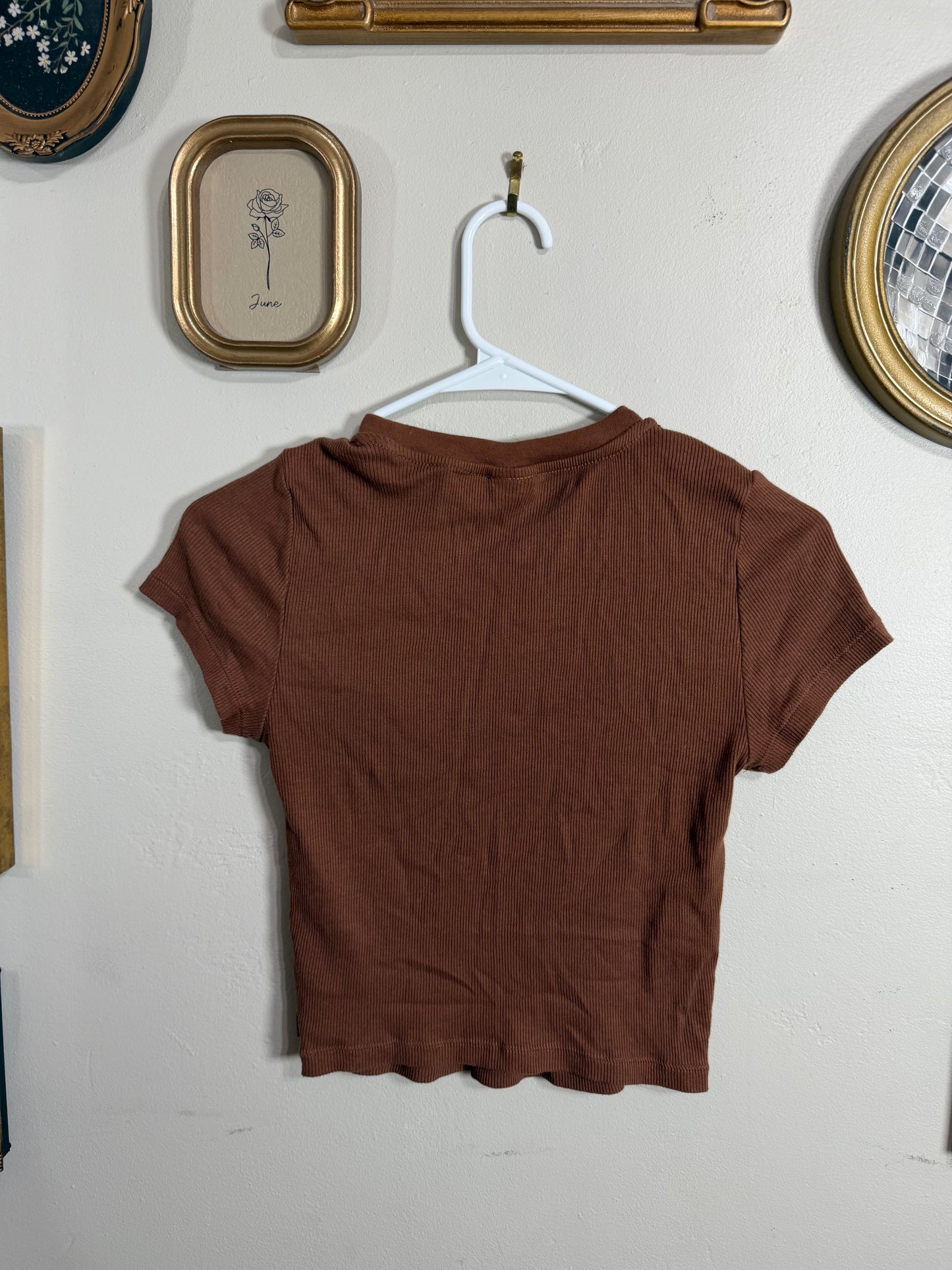 Medium Brown Ribbed Crop Tee