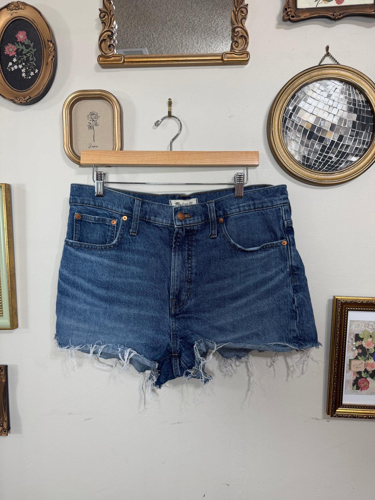 Size 31 Denim Perfect Jean Shorts w/ Raw Hem