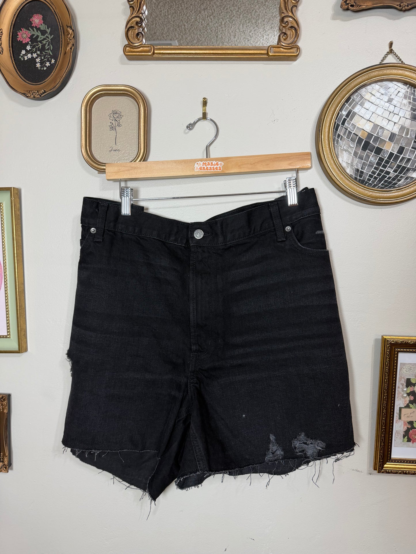 Size 22 High Rise Slouchy Shorts