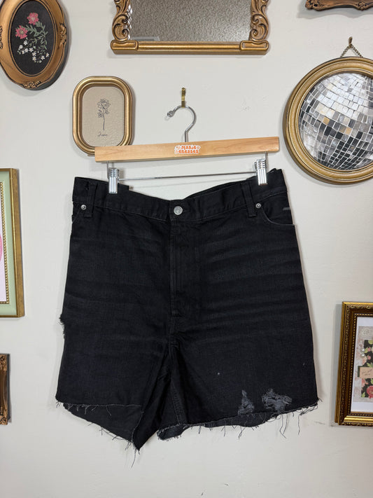 Size 22 High Rise Slouchy Shorts