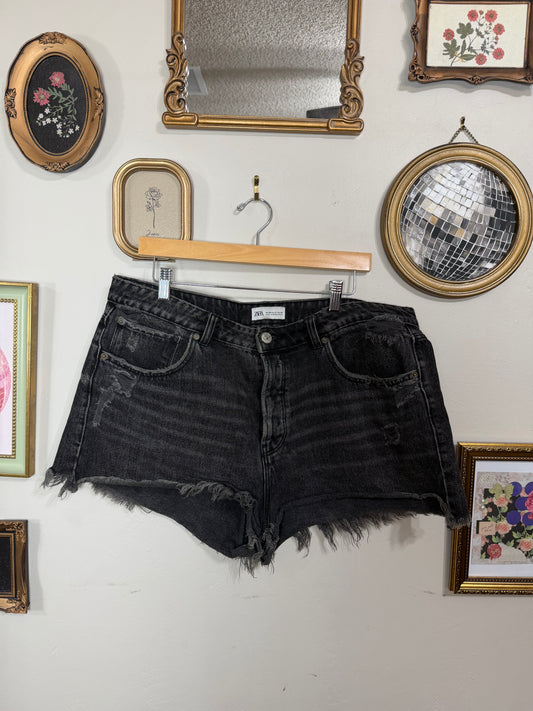 Size 14 Black Distressed Shorts