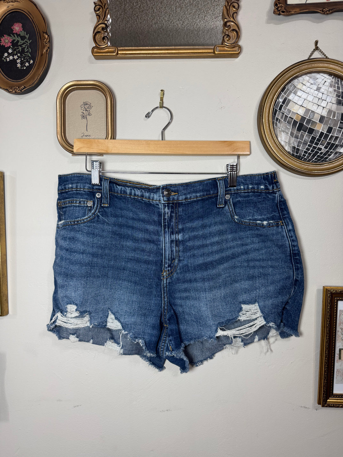 XL Denim Shorts