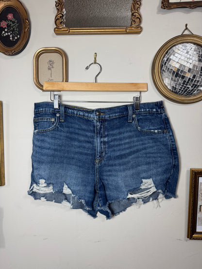 XL Denim Shorts