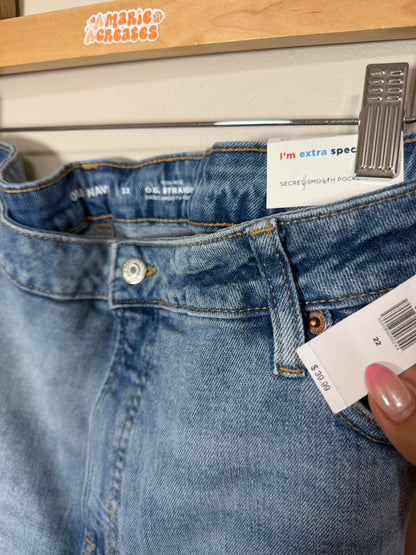 Size 22 NWT OG Straight Shorts