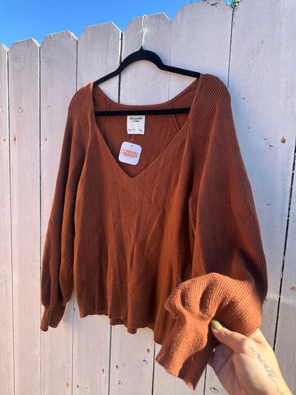L/XL Nut Brown Vneck Sweater