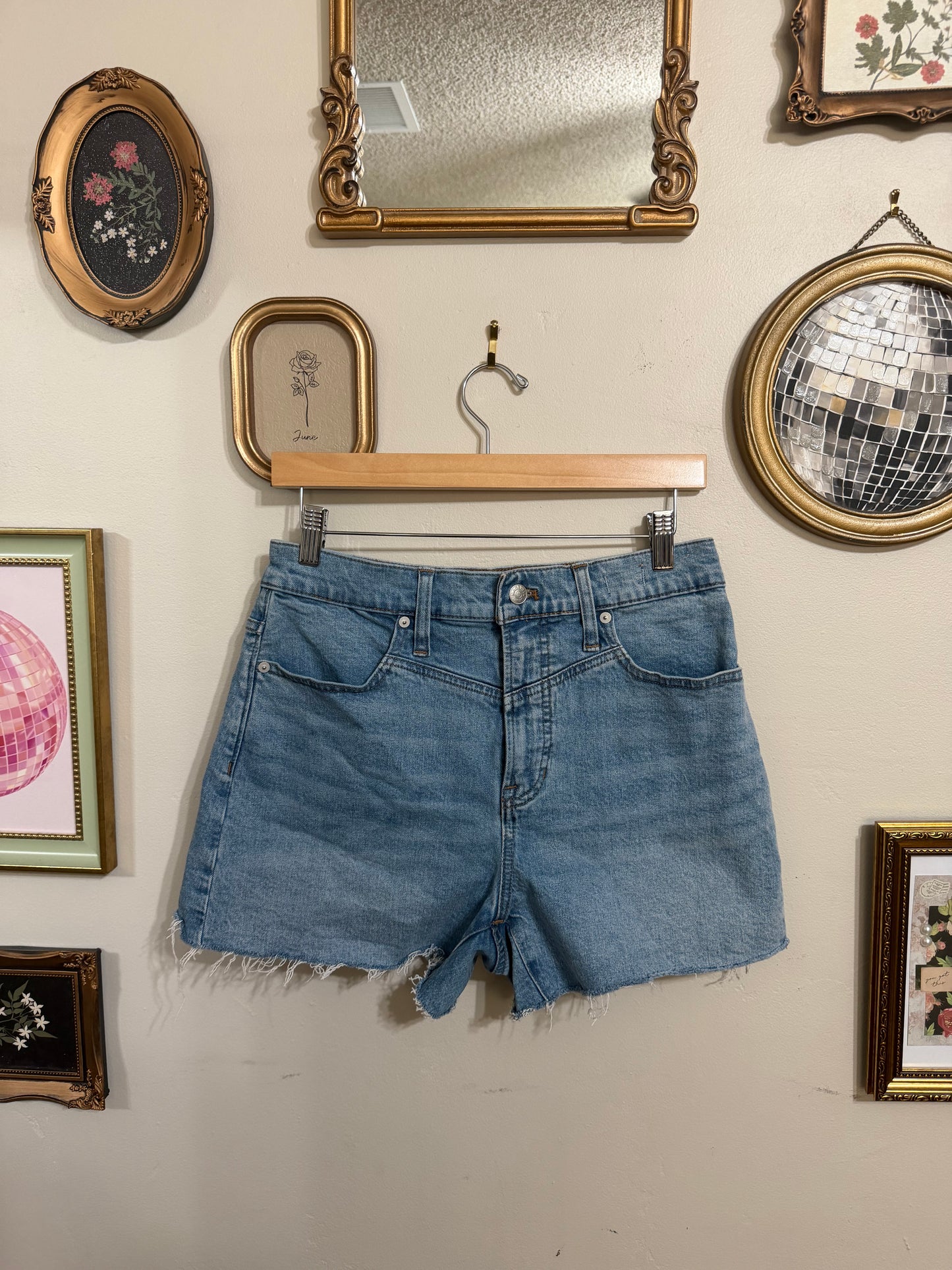 Size 28 Perfect Mid Length Jean Shorts